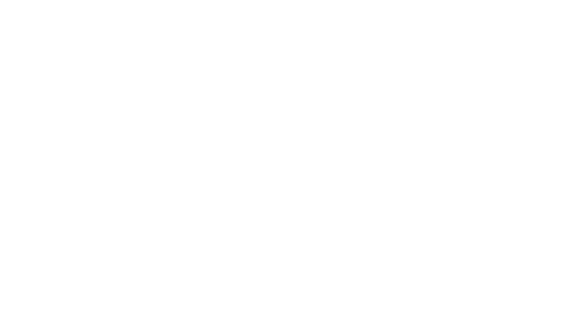 Logo Geyr